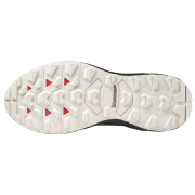 Ženske cipele Mizuno Wave Daichi 6 Gtx