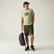 Muške kratke hlače Regatta Arlery Shorts