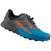 Muške tenisice za trčanje Dynafit Alpine plava/siva Magnet/Frost