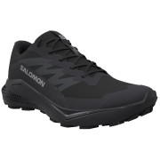 Ženske cipele Salomon Alphaglide Gore-Tex