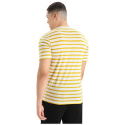 Muška majica Icebreaker Drayden SS Tee Stripe