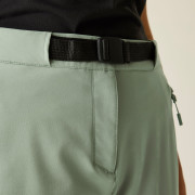 Ženske hlače Dare 2b Melodic Pro II Trouser