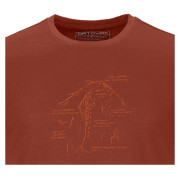 Muške funkcionalne majice Ortovox 120 Tec Lafatscher Topo T-Shirt
