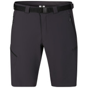 Muške kratke hlače Direct Alpine Cruise Shorts 3.0 crna/siva anthracite