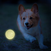 Igračka za psa Nerf Dog LED launcher Air Strike