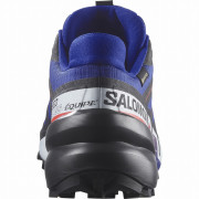 Muška obuća Salomon Speedcross 6 Gore-Tex Equipe