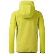 Dječja jakna Dare 2b Kids Switch Out Hybrid Frg/Gldncyp