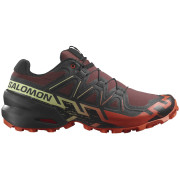 Muška obuća Salomon Speedcross 6