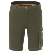 Muške kratke hlače Regatta Bendrick Shorts zelena Dark Khaki