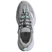 Ženske cipele Adidas Terrex Freehiker Sl Gtx