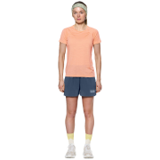 Ženska majica Devold Endurance Merino 130 Tee Wmn