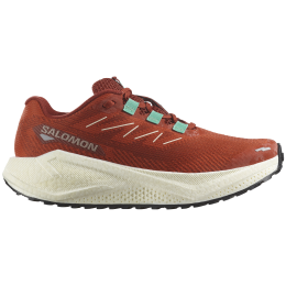 Ženske tenisice za trčanje Salomon Aero Blaze 3 Grvl smeđa Burnt Ochre / Vanilla Ice / Vanilla Ice