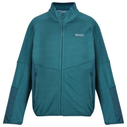 Dječja dukserica Regatta Highton WtrFZ III