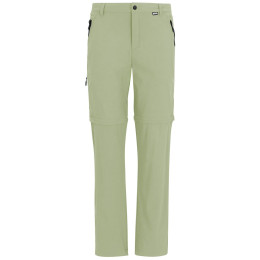 Muške hlače Regatta Anti-Insect Travel Light Z/O Trousers svijetlo zelena Light Sage