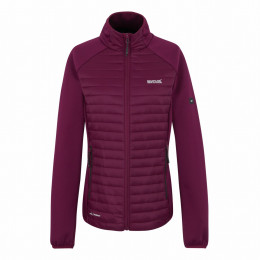 Ženska jakna Regatta Women’s Clumber Hybrid boja vina Dark Pimento