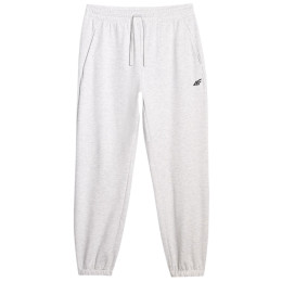 Muške hlače 4F Trousers Cas M1139