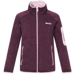 Dječja dukserica Regatta Junior Newhill Fig Powder Lilac crvena FigPowLilac