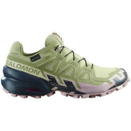 Ženske cipele Salomon Speedcross 6 Gore-Tex