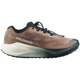 Muške cipele Salomon Aero Blaze 4 Grvl