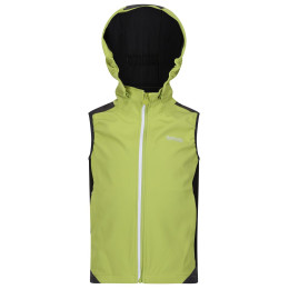 Dječji prsluk Regatta Acidity B/W zelena