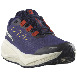 Muške tenisice za trčanje Salomon Aero Blaze 3 Grvl