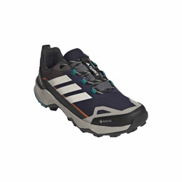 Muške cipele za planinarenje Adidas Terrex Skychaser Ax5 Gtx