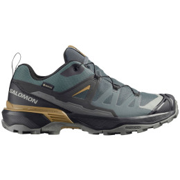 Muška obuća Salomon X Ultra 360 Gore-Tex