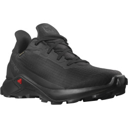 Muške cipele Salomon Alphacross 3 Gore-Tex crna Black(PantoneTapShoe)