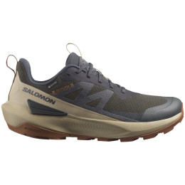 Muške trekking cipele Salomon Elixir Activ Gore-Tex