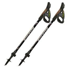 Štapovi za nordijsko hodanje Fizan R-Evolution Pro siva Grey/Beige