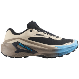 Muške tenisice za trčanje Salomon Genesis 2 GTX