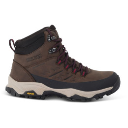 Ženske cipele Regatta Womens Blake Boot smeđa Chtnt/DkPmnt