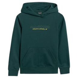 Dječja dukserica 4F Sweatshirt M1959 zelena TEAL