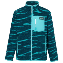 Dječja funkcionalna dukserica Regatta Junior Frankie Warm Fleece Mediterranea Zebra zelena Mediterranea Zebra