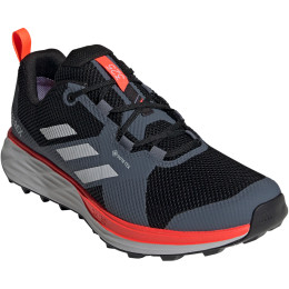 Muške cipele Adidas Terrex Two Gtx