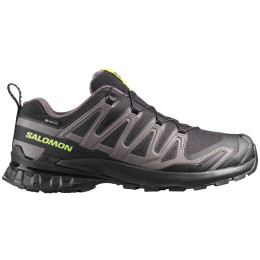 Muške cipele za planinarenje Salomon Xa Pro 3D V9 Gore-Tex
