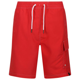 Muške kratke hlače Regatta Hotham BdShort IV