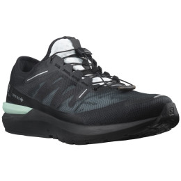 Muške cipele Salomon Sonic 4 Gore-Tex crna Black