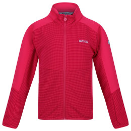 Dječja dukserica Regatta Jnr Highton FZ II ružičasta