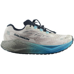 Muške cipele Salomon Aero Blaze 4 Grvl Gtx