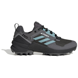 Ženske cipele Adidas Terrex Swift R3 Gtx 2023