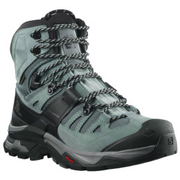 Ženske cipele Salomon Quest 4 Gore-Tex svijetlo plava Slate