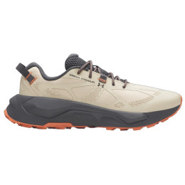 Muške cipele Under Armour Charged Bandit TR 4 bež Brown