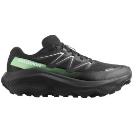 Muške cipele Salomon Ultra Flow 2 Gore-Tex