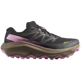 Ženske tenisice za trčanje Salomon Ultra Flow 2 Gore-Tex
