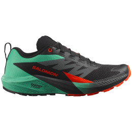 Muške tenisice za trčanje Salomon Sense Ride 5 siva/zelena Black / Bay / Cherry Tomato