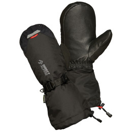 Rukavice Direct Alpine Thermo Mitt crna Black