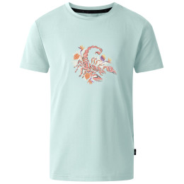 Dječja majica Dare 2b Amuse II Tee