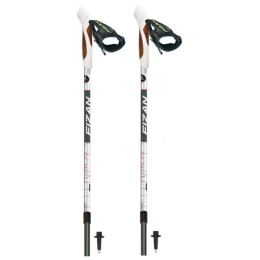 Štapovi Fizan NW Fitness siva/crna