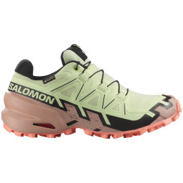 Ženske cipele Salomon Speedcross 6 Gore-Tex